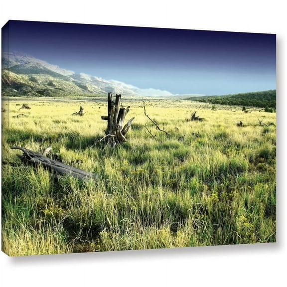 Mark Ross "Fall Creeps" Wrapped Canvas Art