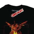 thumbnail image 4 of Gremlins T-Shirt Men's There Will Be Mayhem Adult Short Sleeve Tee, 4 of 5