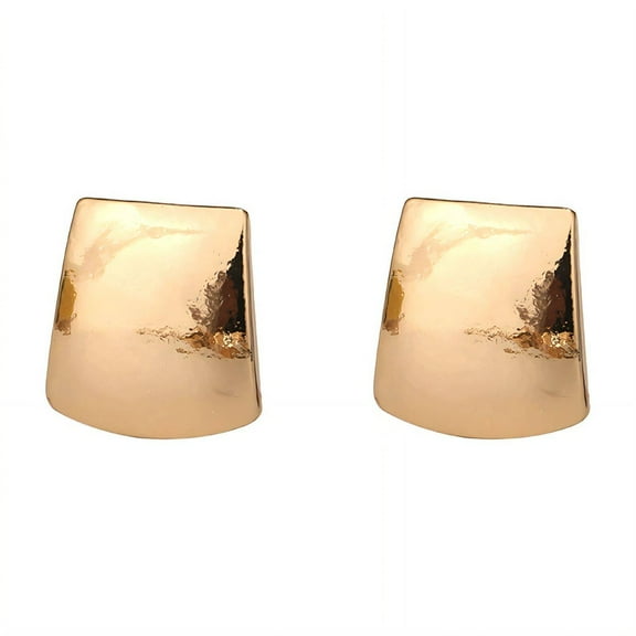 DESIGNICE Clip on Earrings,Exquisite Rose Gold Finish Earrings for Women,Classic Glossy Black Finish Tragus Earrings for Women,Glod