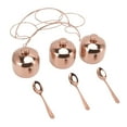 thumbnail image 3 of Juego De Tarros De Condimento, Botellas De Condimento De Acero Inoxidable Con Tapa, Cuchara Y Estante De Almacenamiento, Kit De Recipiente Para Condimentos Para El Hogar,, 3 of 7
