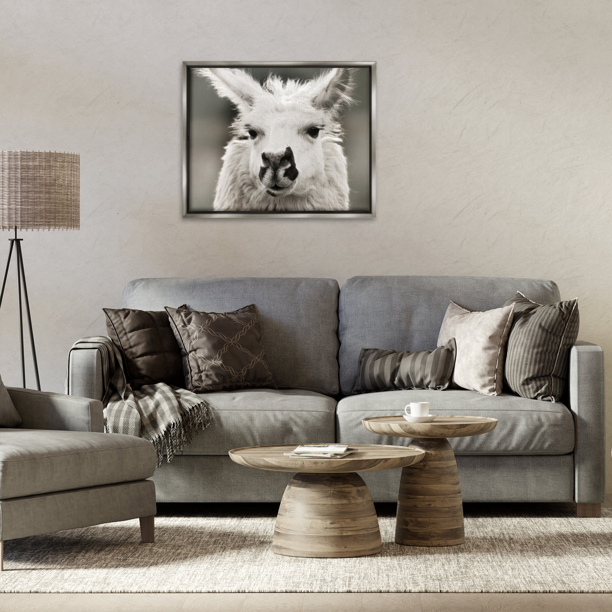 Stupell Industries Llama Gazing Portrait Animals & Insects Photography Gray Floater Framed Canvas Art Print Wall Art, 31 x 25