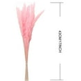 thumbnail image 2 of GRNSHTS 15Pcs,Pampas Grass 17inch ,Pompous Grass for Vase Flower Arrangement Wedding Kitchen Home Decor, 2 of 14