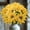A, variant on Lilgiuy Artificial Sunflowers Outdoor Fake Sunflowers for Decoration UV Resistant Maintenance-free No Fade Faux Plastic Plants Garden Porch Window Box Decor (14.9in)