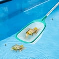 thumbnail image 5 of Clearance, aoksee Pool Skimmer Pool Skimmer Net With 5 Pole Sections 57'' Skimmer Net With Fine Mesh Net For Cleaning Leaf Of Swimming Pools Spas Hot Tubs And Fountains, 5 of 5