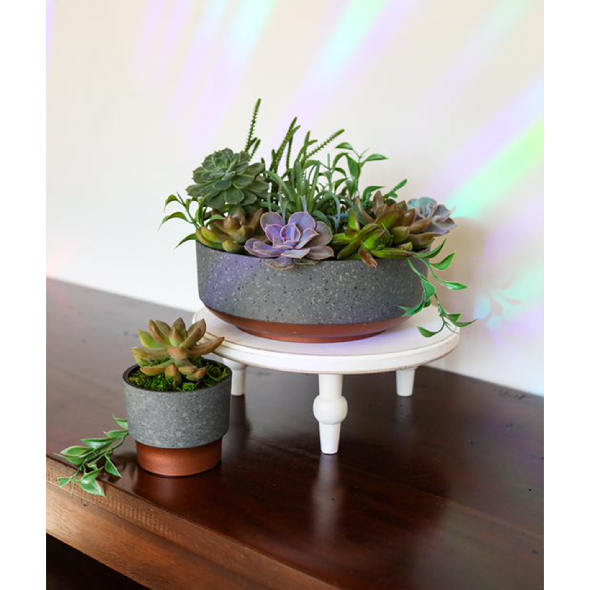 The HC Companies 8 In Capri Bowl Indoor Succulent Pot, Faux Concrete Copper