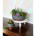 thumbnail image 5 of The HC Companies 8 In Capri Bowl Indoor Succulent Pot, Faux Concrete Copper, 5 of 6