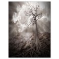 thumbnail image 2 of Arbre Solitaire Tenant la Lune - Impression sur Toile Paysage, 2 of 3