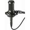 Audio-Technica AT2050 Multi-pattern Condenser Microphone