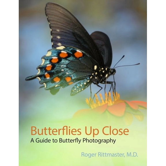 Butterflies Up Close (Paperback)