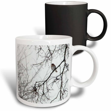 

3dRose Sparrow Bird on a Winters Day Magic Transforming Mug 11oz