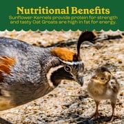 Pennington Classics Dove & Quail Food, Wild Bird Seed Mix, 5 Pounds