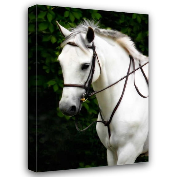 Alan Hausenflock 13x18 Gallery Wrapped Canvas Wall Art Titled - Phantom I
