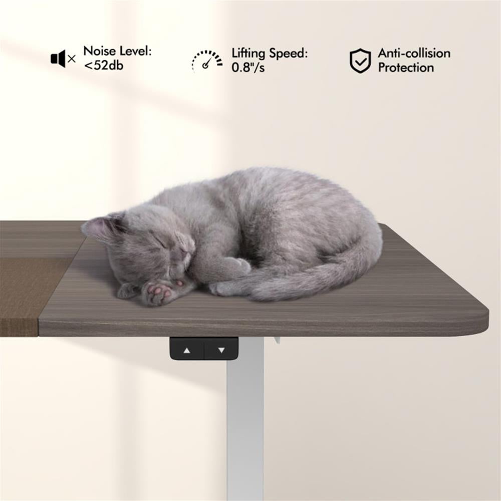 Demi Bonn 55" Electric Height Adjustable Computer Desk with Hook, Small Home Office Desk Study Writing Table, Dark Gray