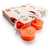 PACK CANDELINE PROFUMATE TEALIGHT WINTER CYPRESS (CONFEZIONE DA 8