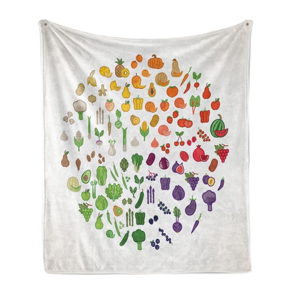 Vegan Soft Flannel Fleece Throw Blanket, Fruit and Vegetables Color Wheel with Foods Nutrition and Healthy Eating Concept, Cozy Plush for Indoor and Outdoor Use, 70" x 90", Multicolor, by Ambesonne