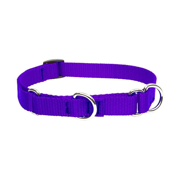LupinePet Basics 3/4" Purple 14-20" Martingale Collar for Medium and Larger Dogs