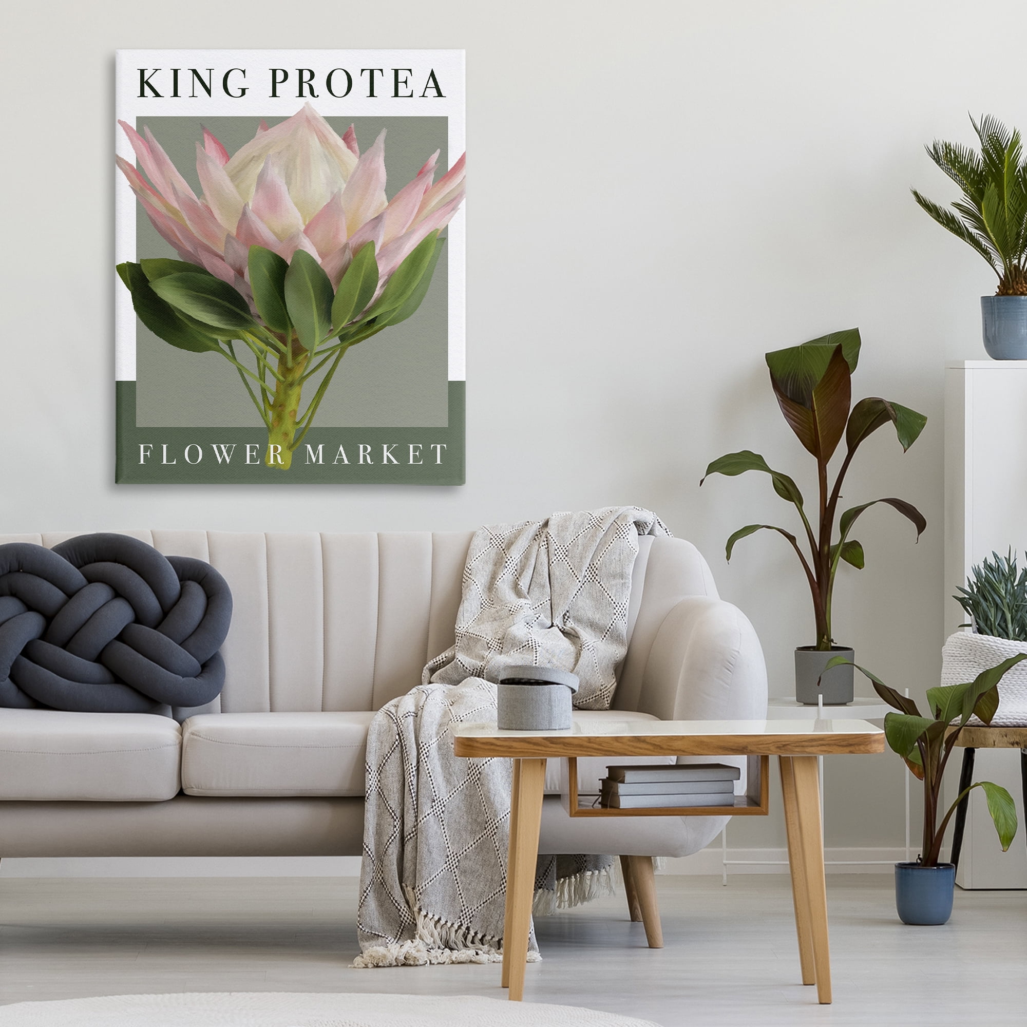 Stupell Industries King Protea Flower Market Canvas Wall Art, design by Jennifer Stith