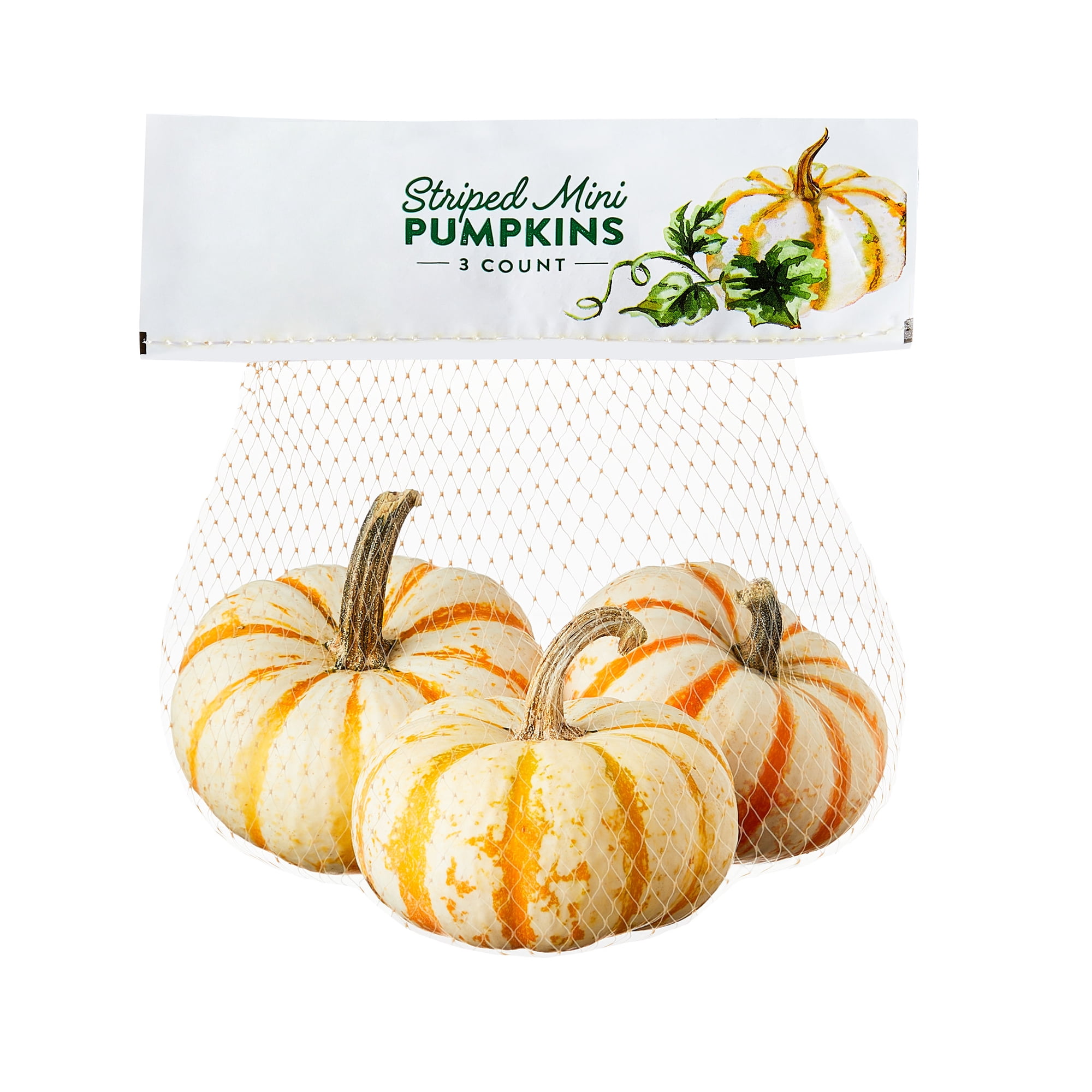 Fresh Mini Tiger Striped Pumpkins, 3 Count Bag