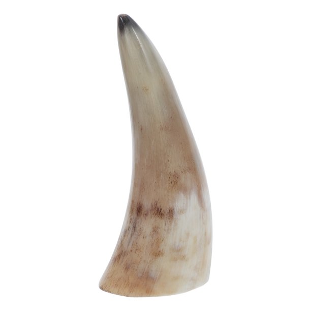 Viking Ox Horn Cup Novelty Horn Copa de vino de buey Horn Porta Mug Medieval Horner Caza de beber