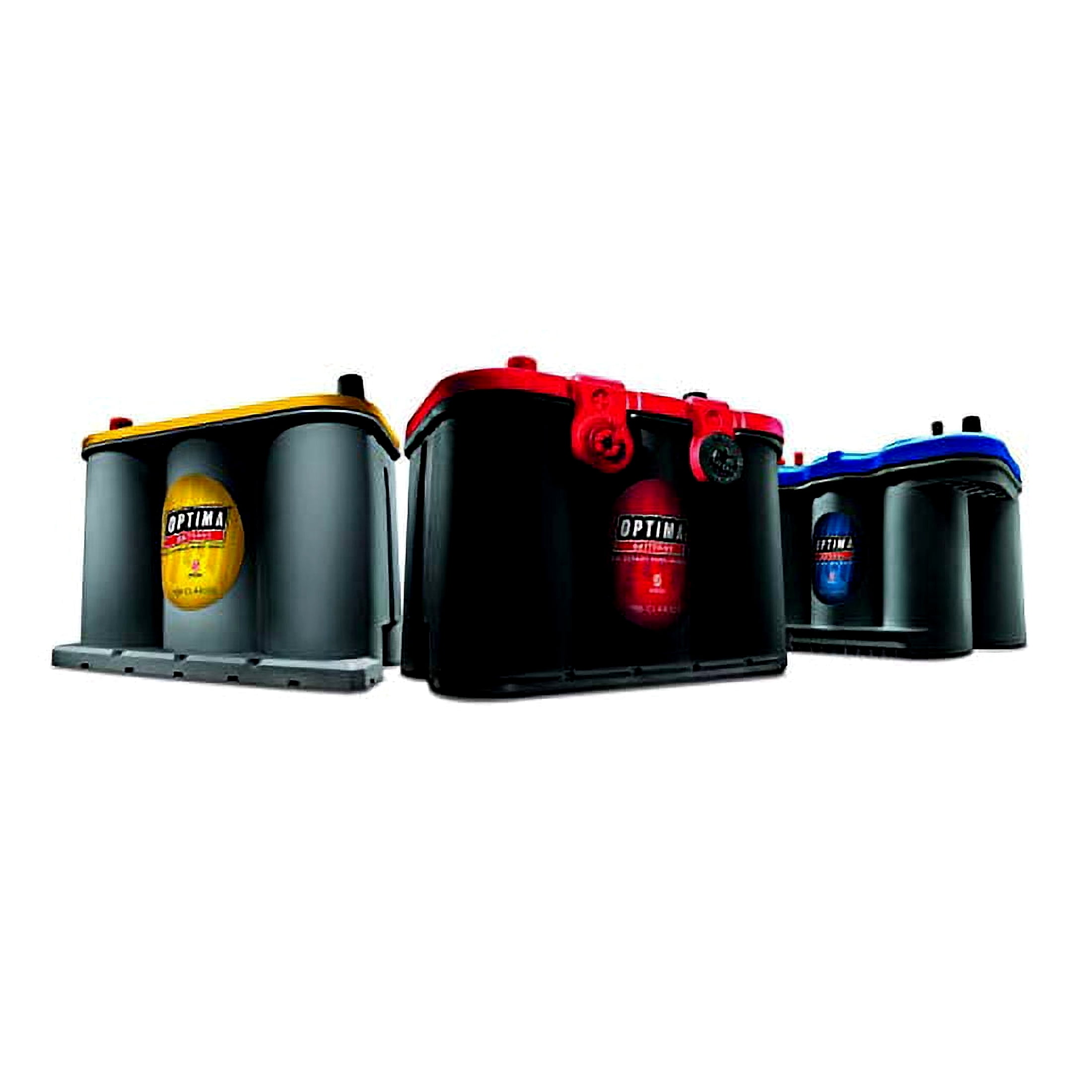 ONLINE Dual Purpose 12 Volt Automotive Battery, 450 CCA