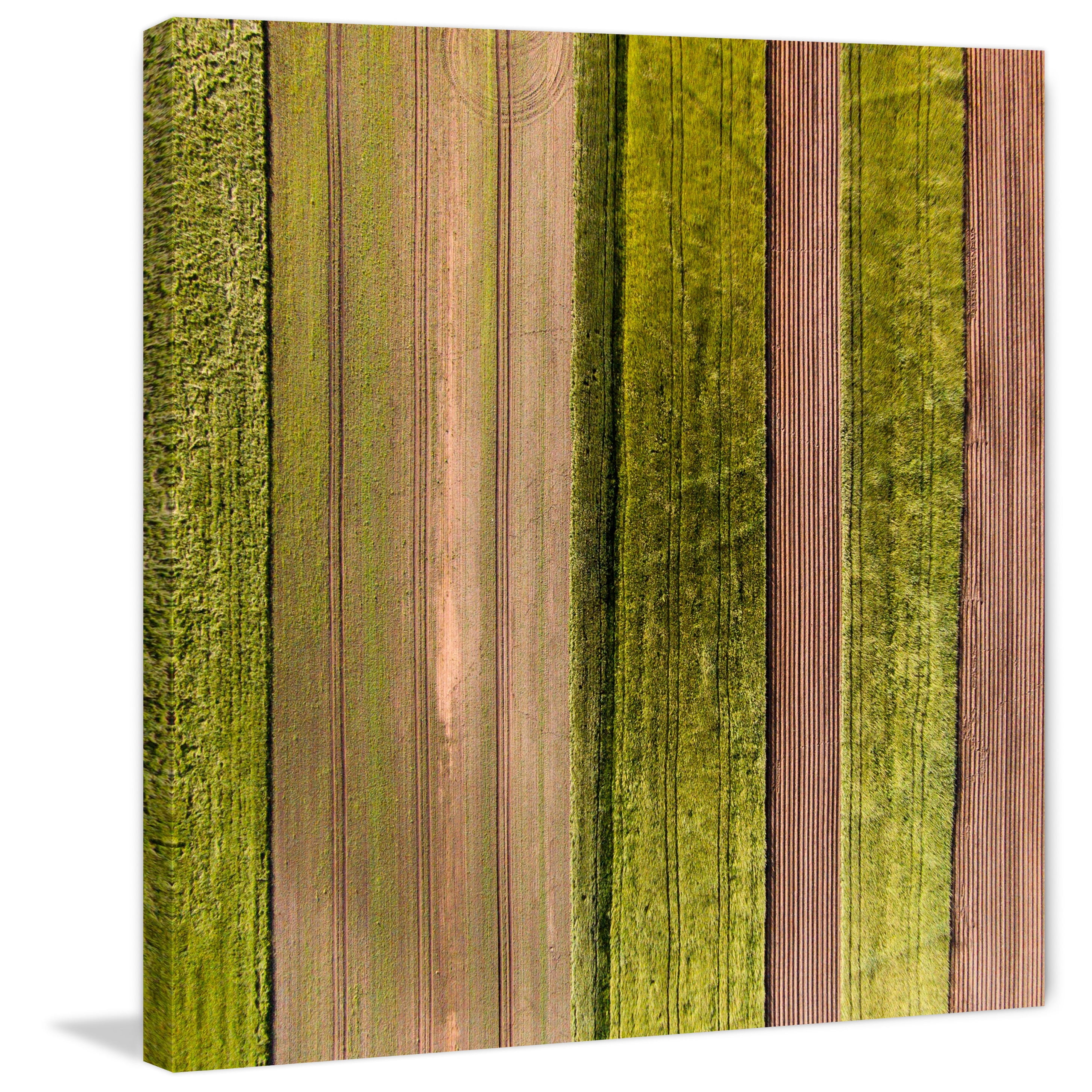 Marmont Hill "Crop Rows" by Karolis Janulis Painting Print on Wrapped Canvas