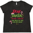 thumbnail image 3 of Inktastic Christmas Dear, Santa Before I Explain How Much Do You Know? Women's Plus Size T-Shirt, 3 of 5