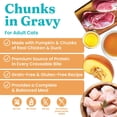 thumbnail image 5 of Solid Gold Wholesome Selects Wet Cat Food, Chicken & Pumpkin, 24 cans, 5 of 7