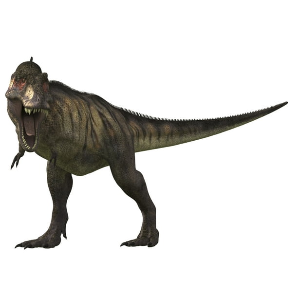Tyrannosaurus Rex, a large carnivore of the Cretaceous Period Poster Print (33 x 23) - Walmart