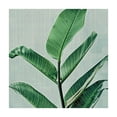thumbnail image 4 of WYYP Leaf Plant Minimalism Square Tablecloth Waterproof 100% Polyester Fiber 40*40, 4 of 8