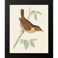 thumbnail image 2 of Wild Apple Portfolio 15x18 Black Modern Framed Museum Art Print Titled - Engraved Birds I, 2 of 5