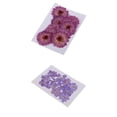 thumbnail image 1 of 22 piezas de flores prensadas secas de margaritas púrpuras naturales y espuela de caballero para pulseras de bricolaje fornituras de joyería, 1 of 9