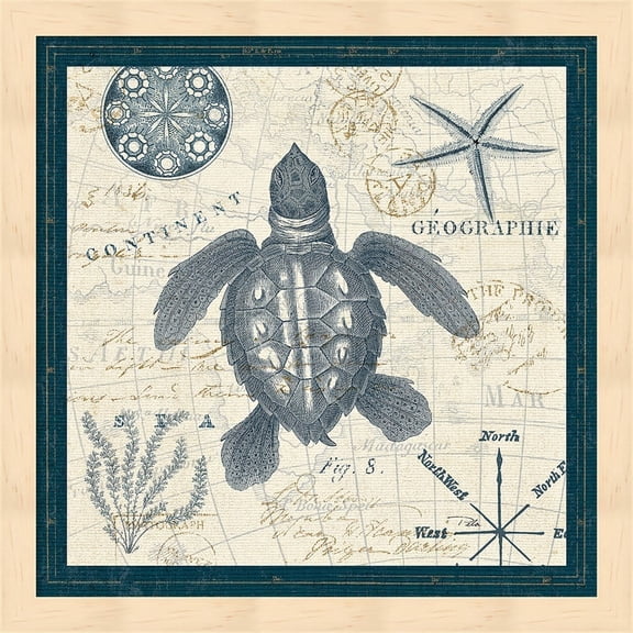 Metaverse Pela 'Ocean Life VI' Black Frame Wall Art