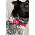 thumbnail image 3 of Red Mountain Syrah Waterproof Dog Collar, 3 of 4
