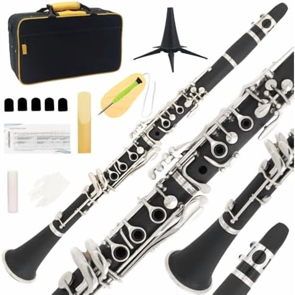Bb Clarinet - Band Clarinet for Beginner, with, Mouthpiece, Hard Case Bag and Cleaning Kit(Black)$$Musical Instruments