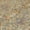 Gold, variant on Addison Rugs Chantille Indoor/Outdoor Traditional Global Beige Machine Washable Rectangle Rug, 10' x 14'