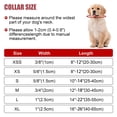 thumbnail image 6 of Minzimin 1Pcs Reflective Dog Collar with Buckle Adjustable Safety Nylon Collars for Small Medium Large Dogs, 6 of 7
