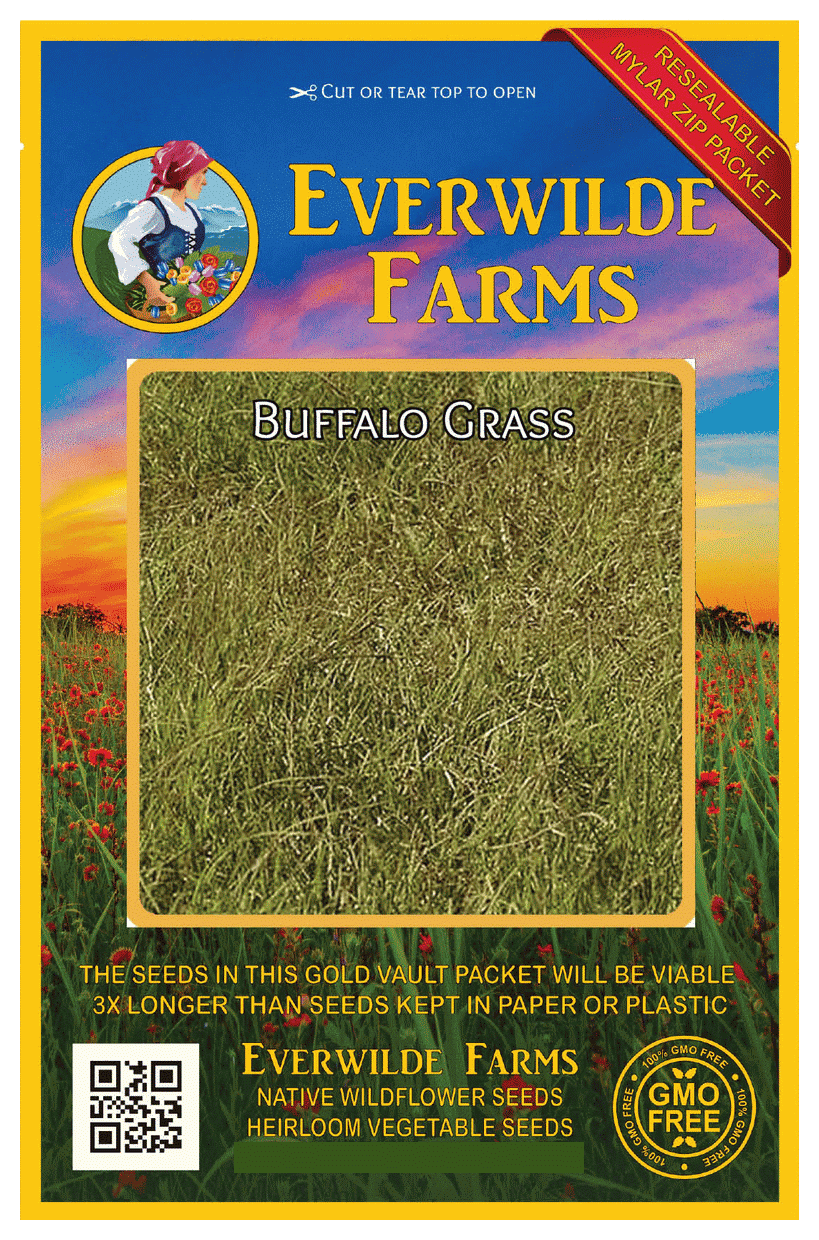 Everwilde Farms 1 Oz Buffalo Grass Native Grass Seeds Gold Vault