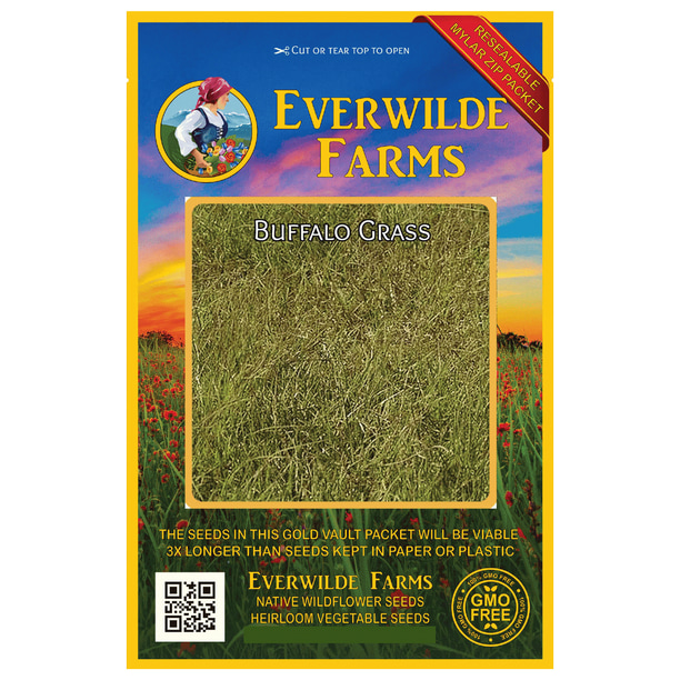 Everwilde Farms 1000 Buffalo Grass Native Grass Seeds Gold Vault Jumbo Bulk Seed Packet