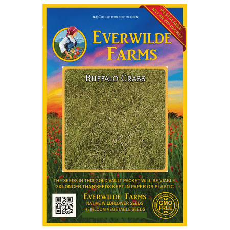 Everwilde Farms - 1000 Buffalo Grass Native Grass Seeds - Gold Vault Jumbo Bulk Seed