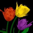thumbnail image 2 of Koetsier, Albert 12x12 Black Ornate Wood Framed with Double Matting Museum Art Print Titled - Shiny Jewel Tulips 4, 2 of 4