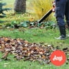 Yard Cleanup (yards between 10k-20k square feet in size)