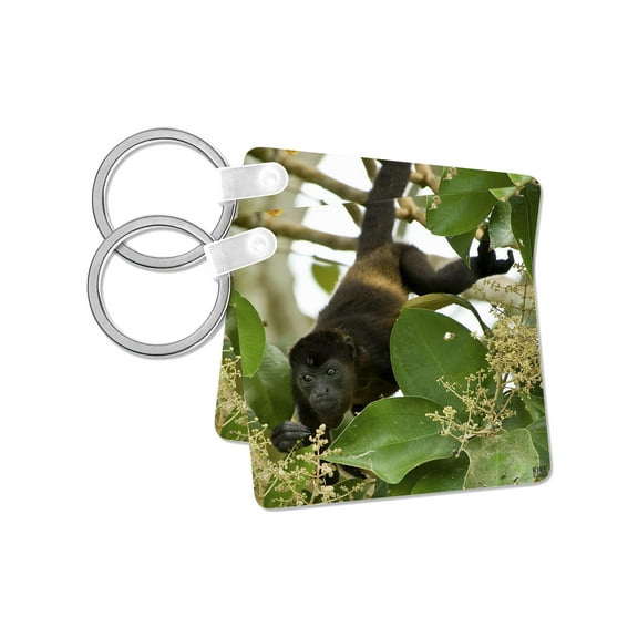 3dRose, Mantled howler monkey Alouatta palliata, set of 2 Key Chains