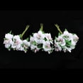 thumbnail image 3 of Decoración Artificial Para El Hogar De Seda De Crisantemos De 60 Cabezas Baoblaze Artificial Sakura, 3 of 8