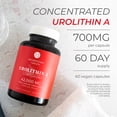 thumbnail image 2 of Neurogan High-Potency Urolithin A Capsules - 700mg, 60 Count - Premium Health Support Supplement* - 42,000mg Total Urolithin A - Lab Tested, Made in USA, 2 of 6