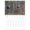thumbnail image 5 of Grey geese in native environment (Monthly Wall Calendar 2026 16.5 x 23.4 (open)), CALVENDO 14 Month Calendar, 5 of 9