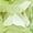 Peridot, variant on Princess Cut Gemstone Tennis Bracelet in Sterling Silver