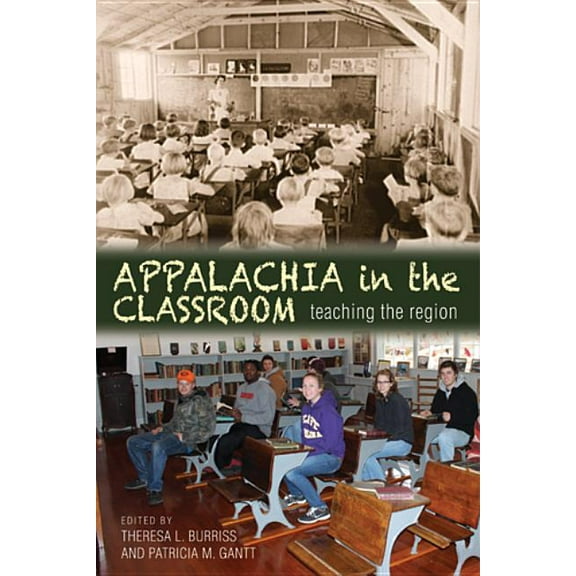 Series in Race, Ethnicity, and Gender in Appalachia in the Classroom: Teaching the Region, (Hardcover)