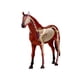 thumbnail image 5 of Modelo de anatomía de órganos animales 4D Juguete de ensamblaje de inteligencia de caballos Modelo de anatomía didáctico Electrodomésticos de bricolaje, 5 of 5