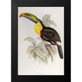 thumbnail image 2 of Glover, John 13x18 Black Modern Framed Museum Art Print Titled - Family of Toucans, 2 of 5