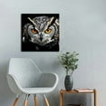 thumbnail image 4 of ONETECH Black and White Wall Art Canvas Bird Decor Golden Eyed Owl Pictures on Canvas Wall Art for Home Office Decorations Living Room Bedroom and Kitchen Decor  Framed Canvas Prints 16x16in, 4 of 4